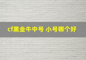 cf黑金牛中号 小号哪个好